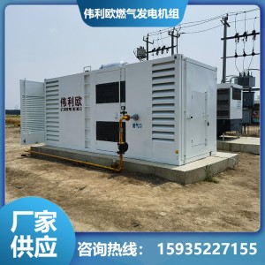 偉利歐 WL320 燃氣發電機 高加工強度 高質量的AVR